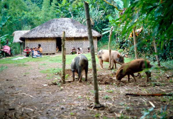 Rebecca Jewell Fieldwork