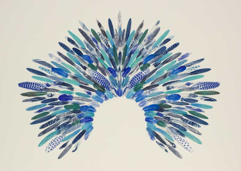 Feather Collages