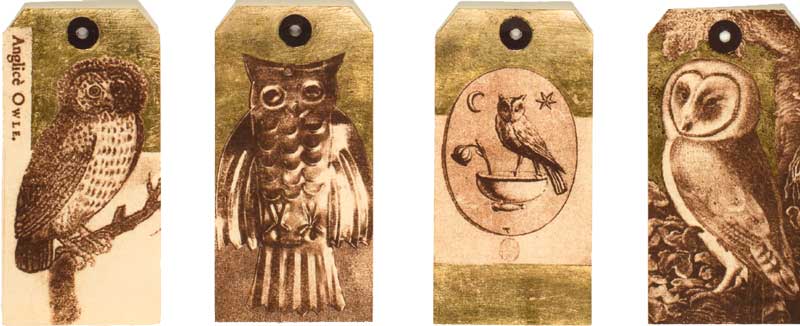 Owl Tags 2