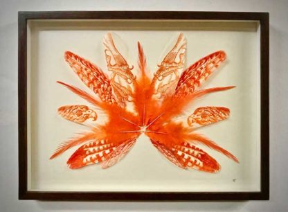 Orange Falcon - Image 2