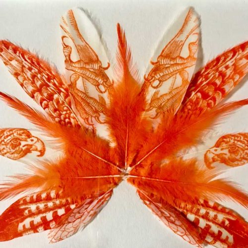 Orange Falcon