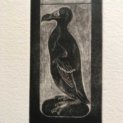 Great Auk - Image 2