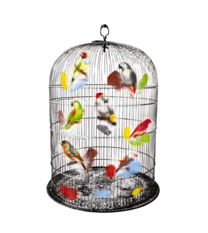Birds in a Victorian Cage
