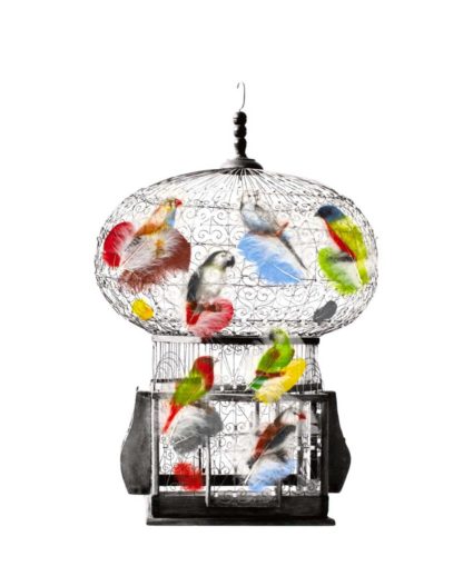 Birds in a Tunisian Cage