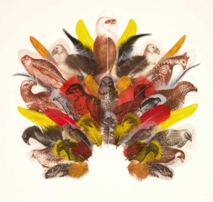 Falconer's Headdress